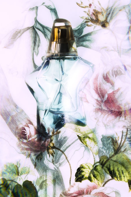 Flowers & fragrances by loreen hinz